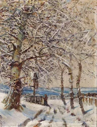 Trær med Hoar-frost